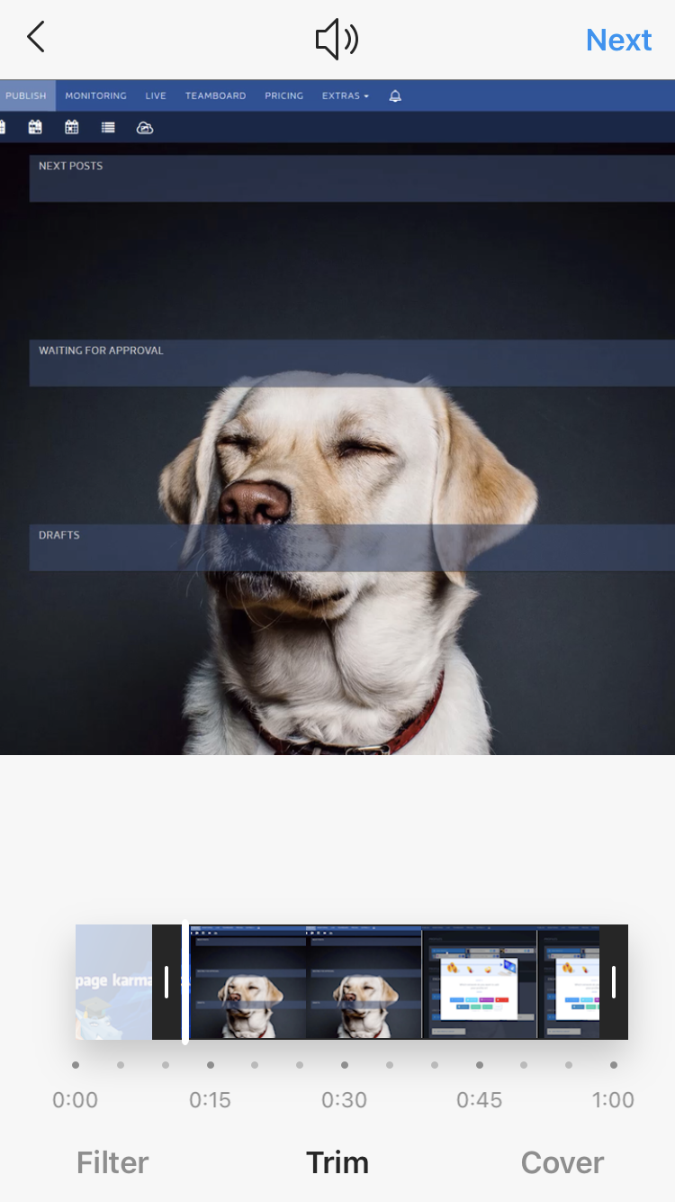 Instagram Video Guide - How Companies Should Post Videos on Instagram ...